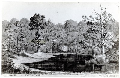 La piscina del diavolo nel Bois de Chanteloup, 1844 da Maurice Sand